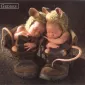 Фотографии детей Anne Geddes