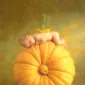 Фотографии детей Anne Geddes