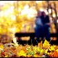 Осень для влюбленных