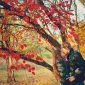 Осень для влюбленных