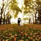 Осень для влюбленных