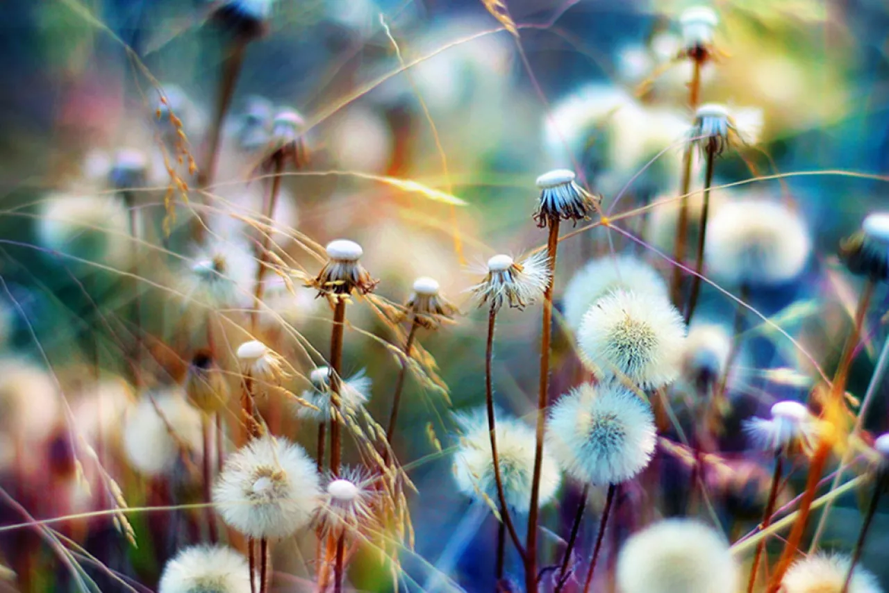 Доказательство вечного существования