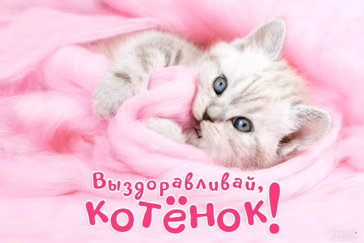 Выздоравливай любимой