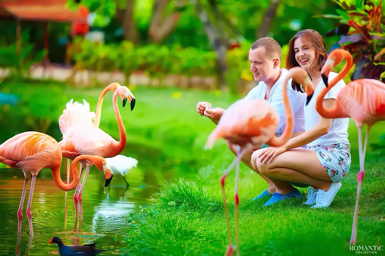 Прогулка в зоопарке