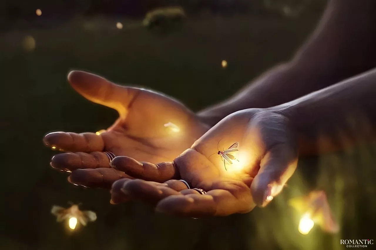 Звезда на ладошке