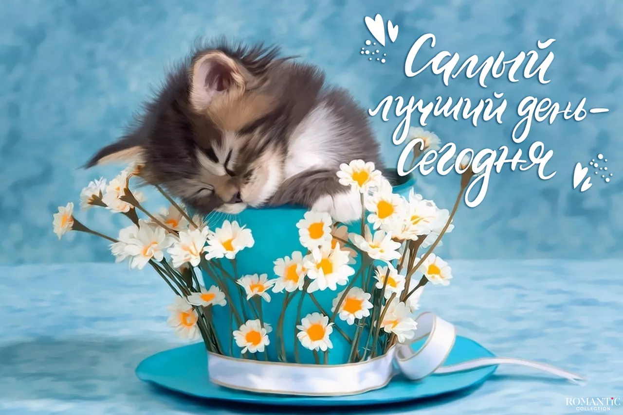 Добрые пожелания на каждый день