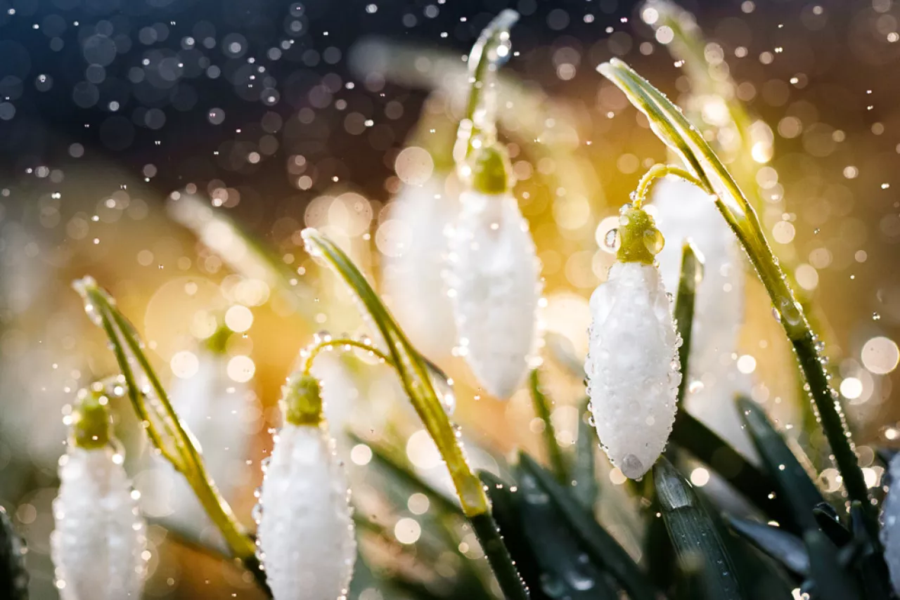 Наступает весна