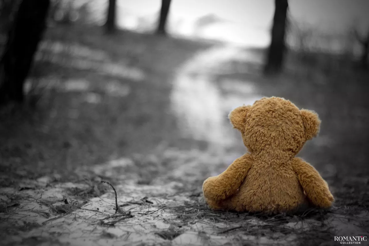 Плюшевый мишка