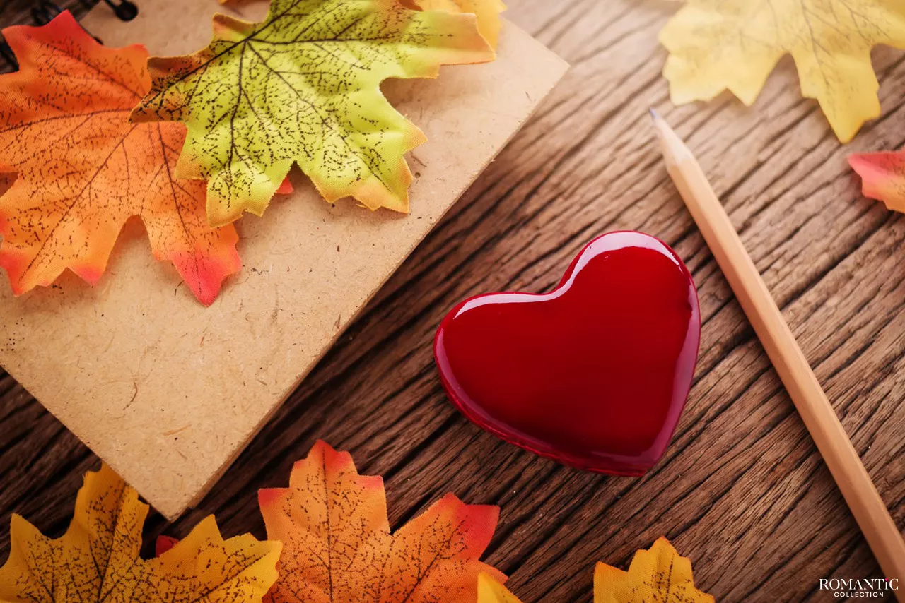 Подарок осени