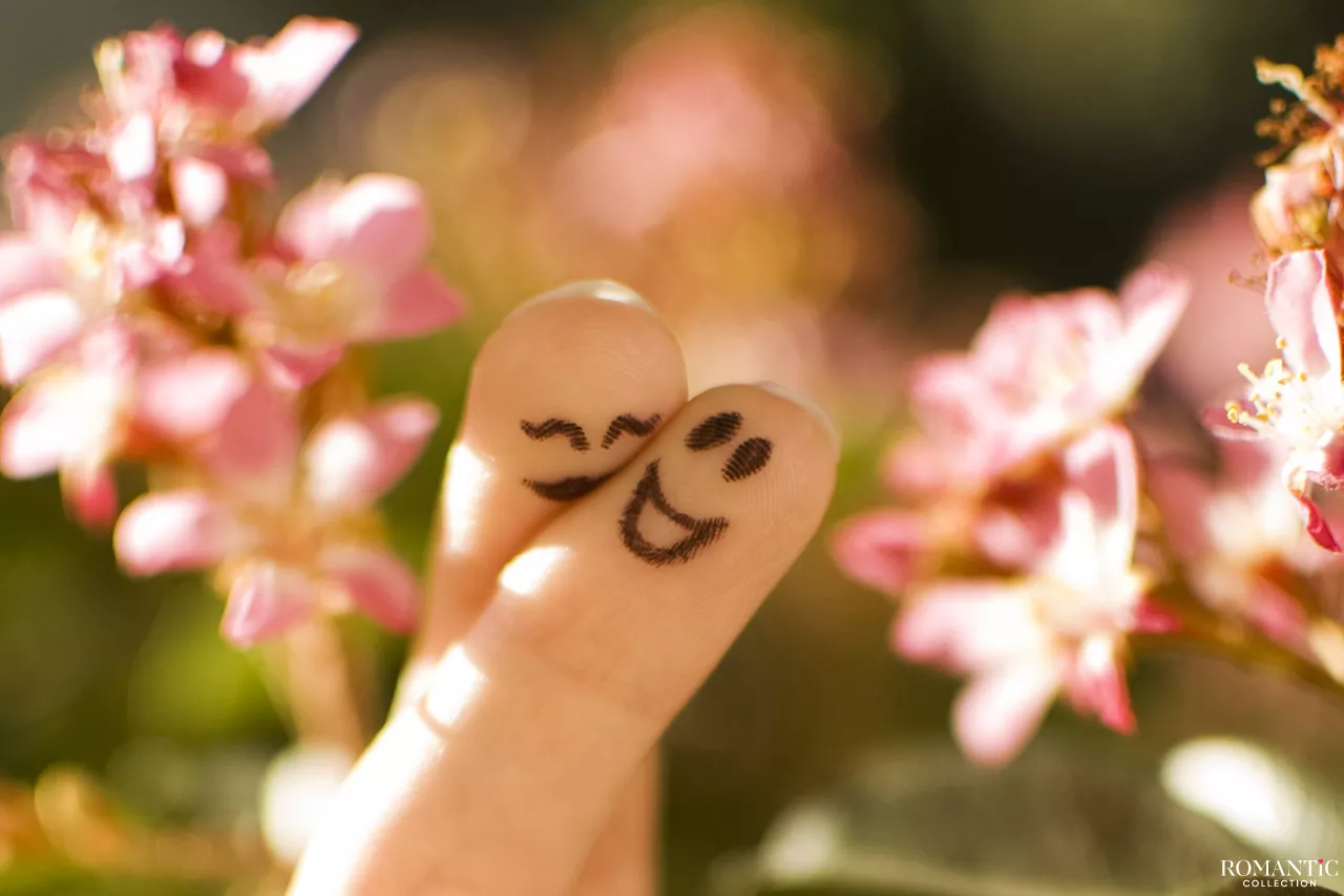 О поисках второй половинки