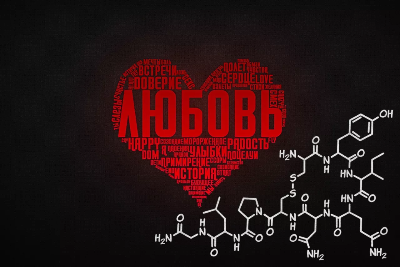 Мозг влюбленного мужчины