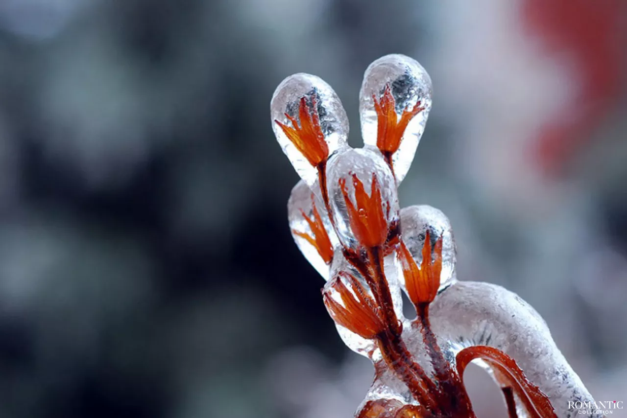 20 шедевров природы на рубеже зимы и весны