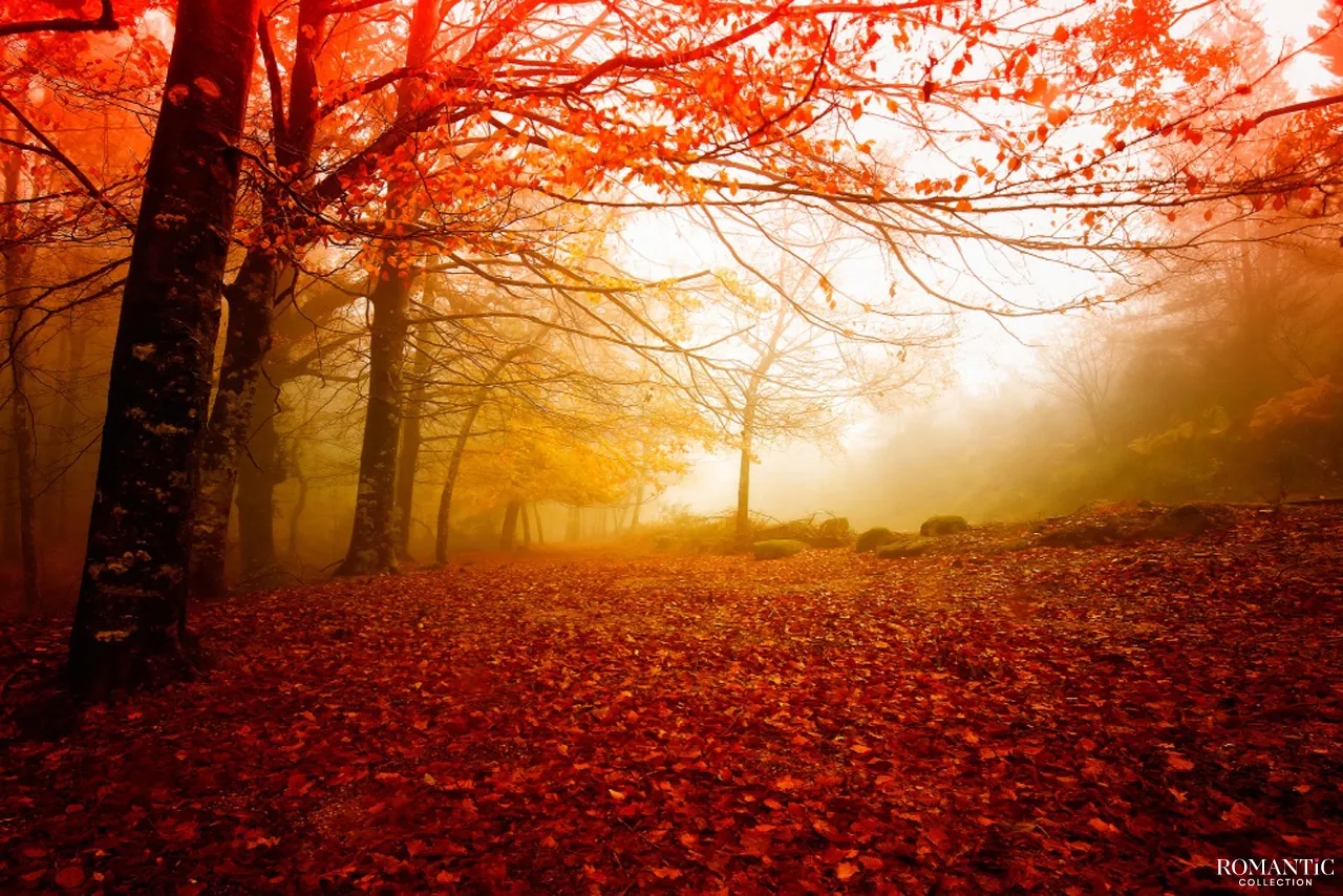 15 причин, по которым осень лучше лета