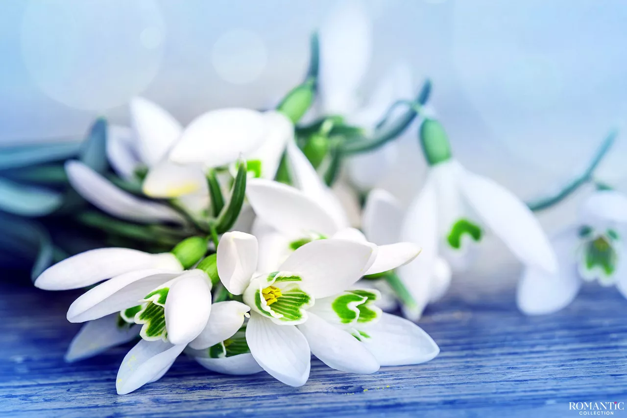 Смысл в том, чтоб найти родственную душу