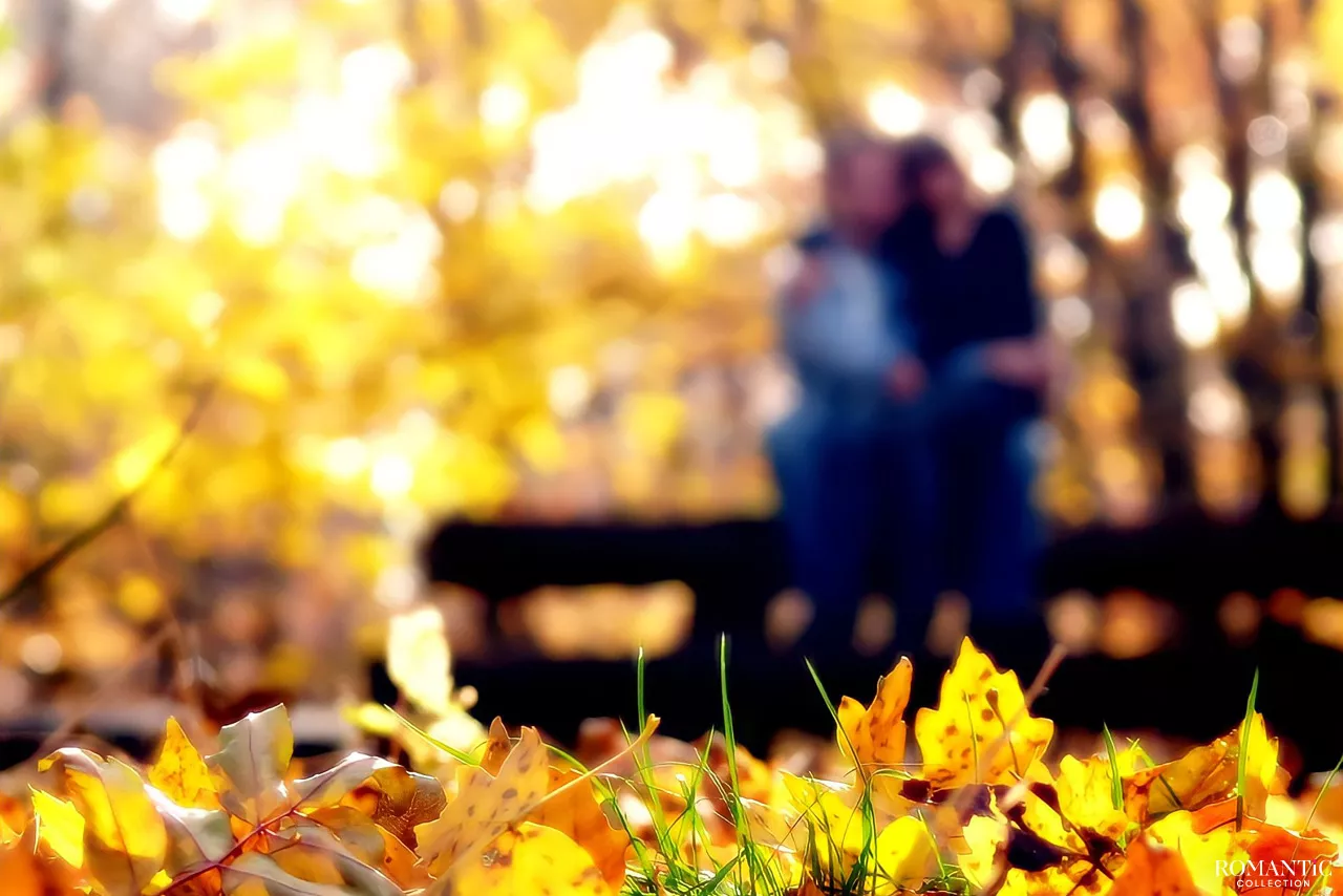 Спасибо, Павел...