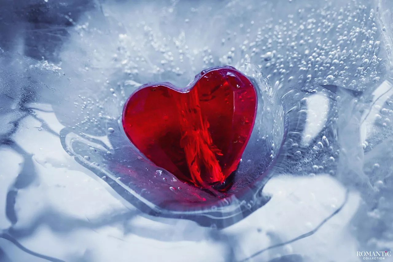 Я рядом, мой друг