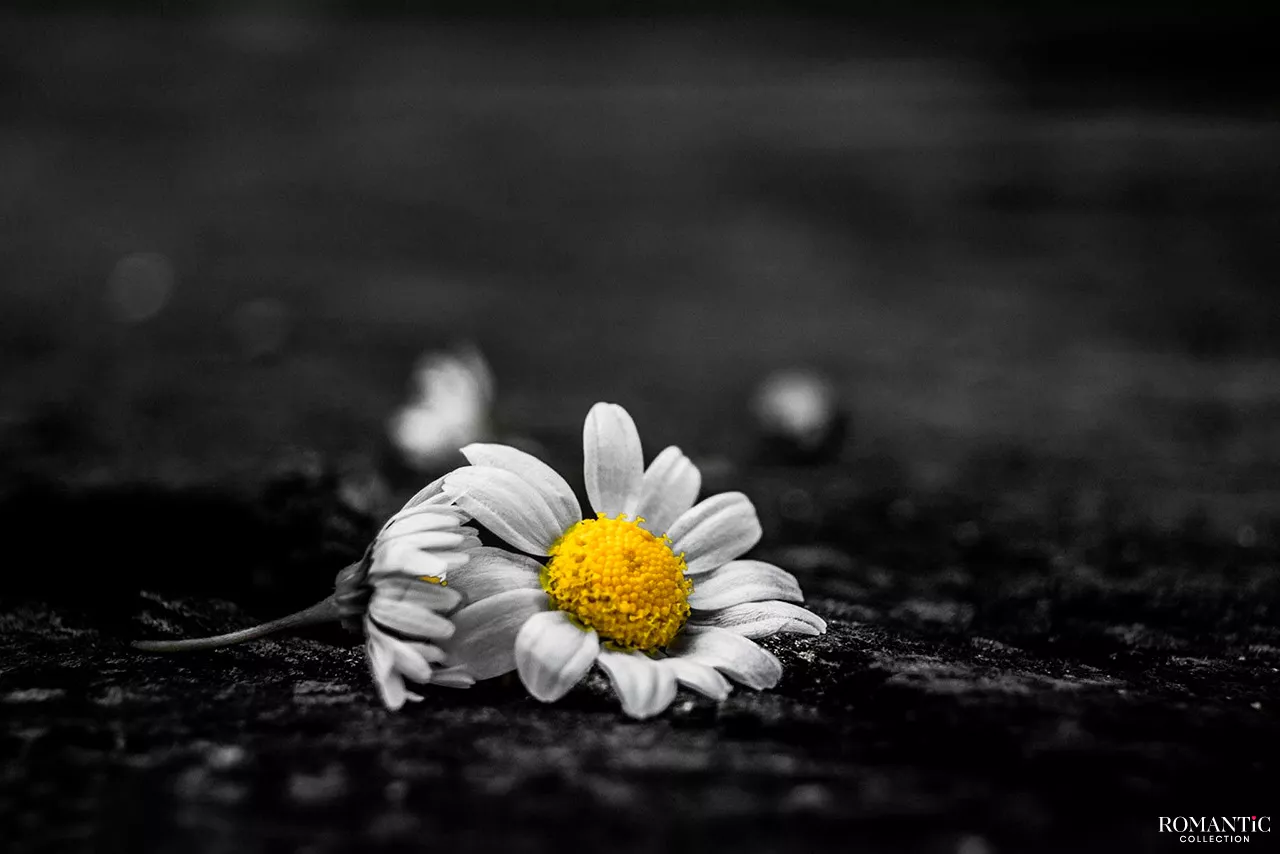 Здравствуй, это я...