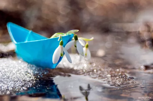 Ах, эта ужасная, прекрасная весна!