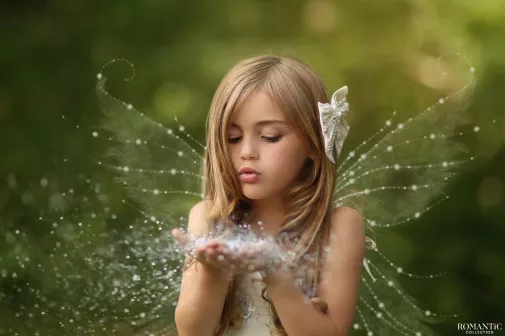 Бабочка и колючка