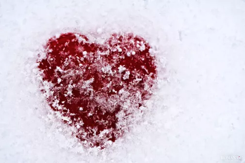 Битва за любовь