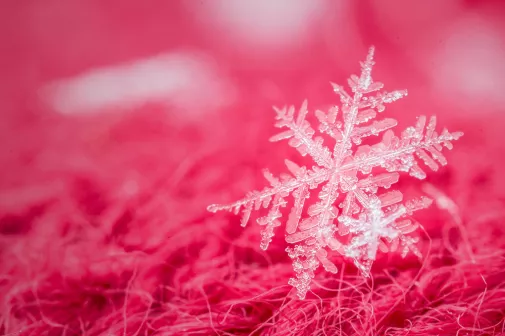 Декабрь – простодушный мечтатель