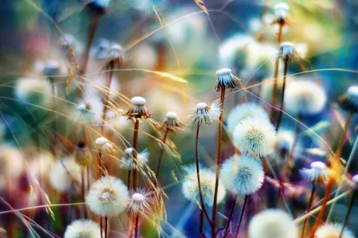 Доказательство вечного существования