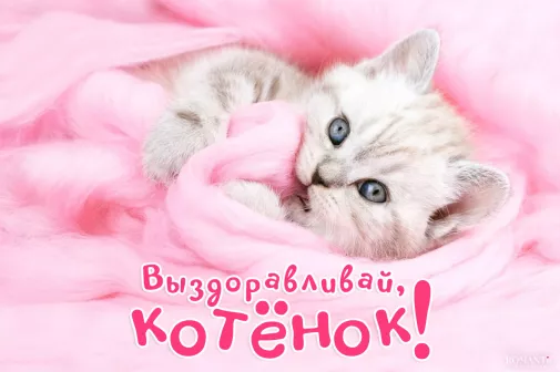 Выздоравливай любимой