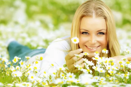 Ромашковое поле в подарок