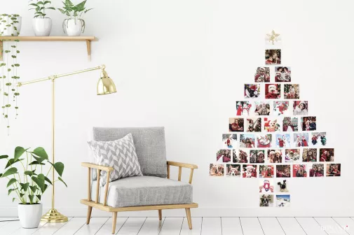 Лучшие моменты уходящего года