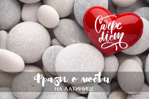 Фразы про любовь на латинском языке