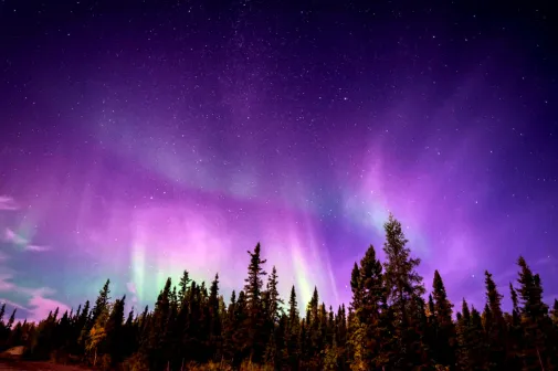 Жители Москвы и регионов Центральной России увидят северное сияние