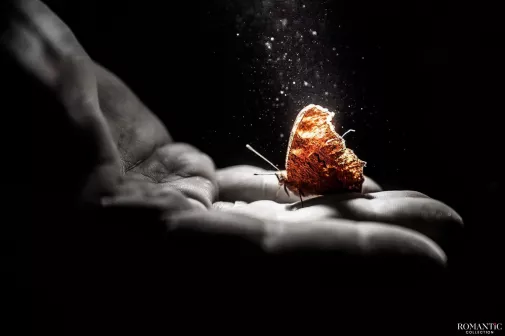 Мотылек и камушек