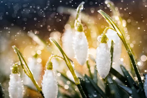 Наступает весна