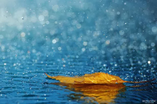 Осенняя сказка