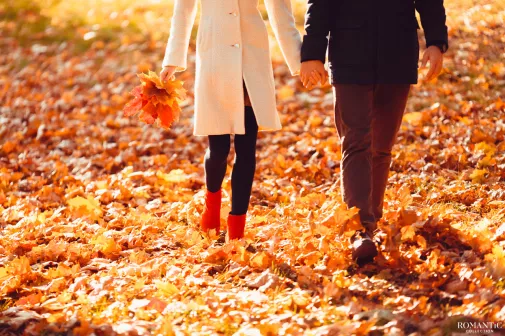 Поздней осенью ещё возможна встреча