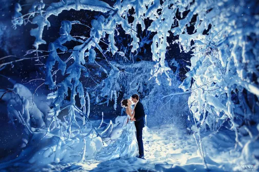 Принц из зимней сказки