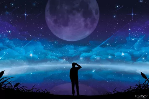 Продавец одиночества