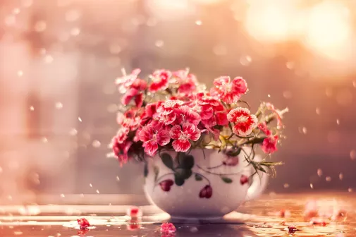 Счастье – в любимой женщине