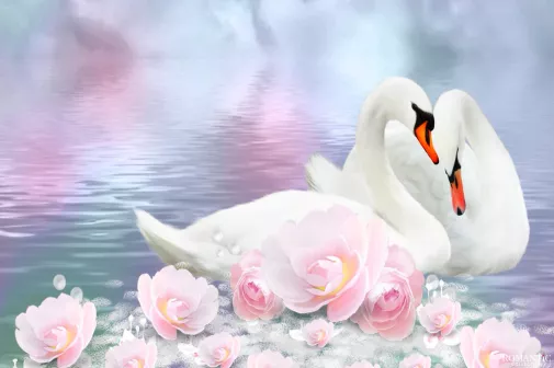 Сказка о двух лебедях