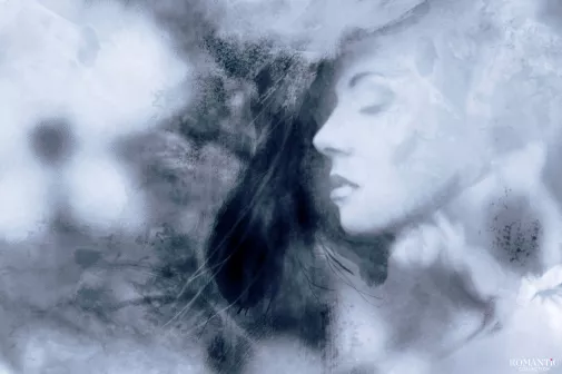 Упавшая звезда