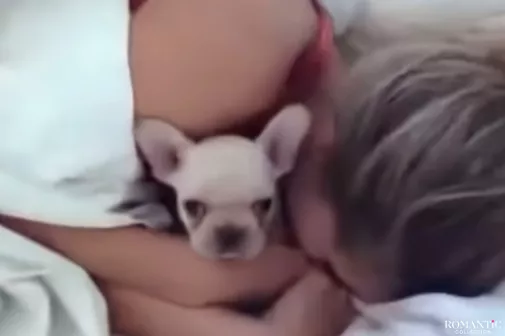 Видео: Подарок любимой в постель