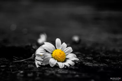 Здравствуй, это я...