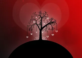Обои о любви: Обои любовь