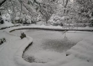 Обои о любви: Сердце из озера