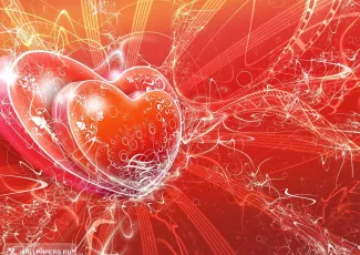 Обои о любви: Сердце обои