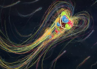 Обои о любви: Романтические обои