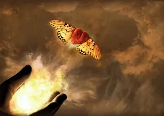 Обои о любви: Романтические обои