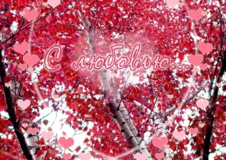 Обои о любви: Романтические обои