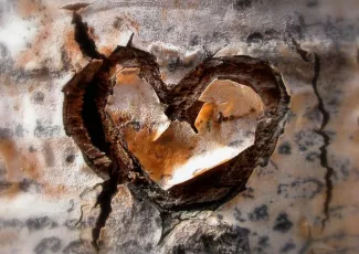 Обои о любви: Сердце обои