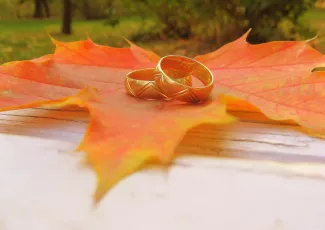 Обои о любви: Обручальные кольца